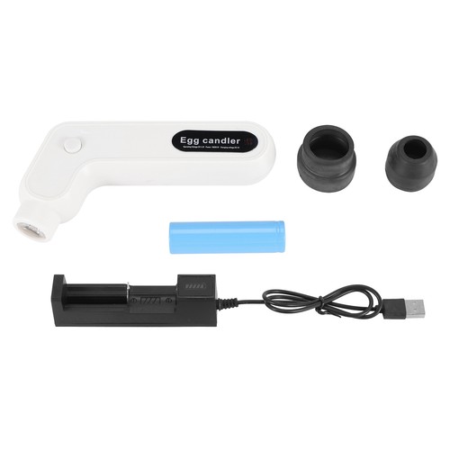 Egg candler tester - egg,
