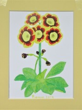 Nature Auricula plant print