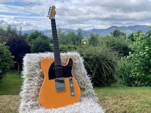 Gordon smith custom - gordon,