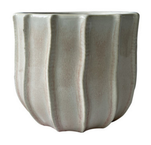 Hortus indoor houseplant - , pots