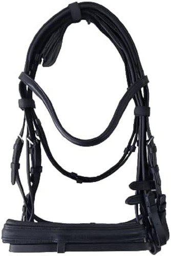 New bridle famous gr - new,
