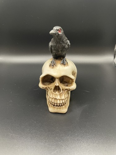 Skull with raven ornament - raven,