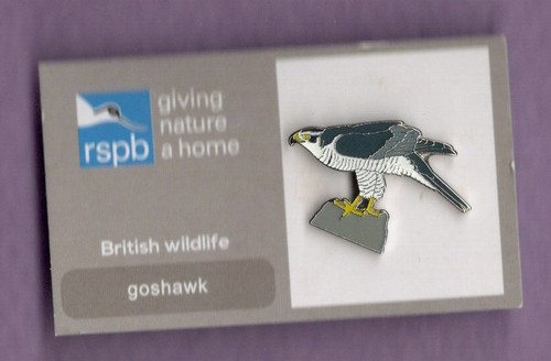 Rspb pin badge goshawk - pin,