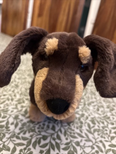 Jelly cat sausage dog - jelly,