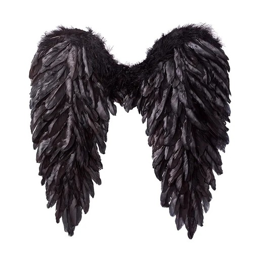 Feather angel wings - wings, xmas