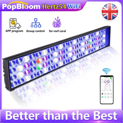 Popbloom h54 wifi - popbloom,
