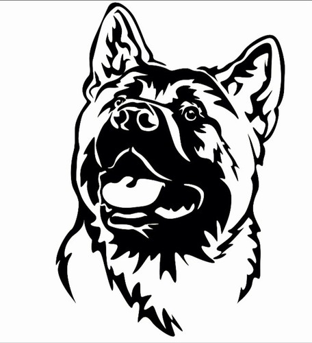 Large black akita dog - black,