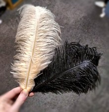 2 Lovely Vintage Ostrich