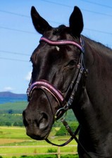 FSS GLISTEN Curve CRYSTAL ROSE