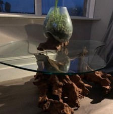 Bespoke tree root coffee table