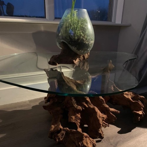 Bespoke tree root coffee - , table