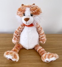 JOMANDA GINGER & WHITE CAT