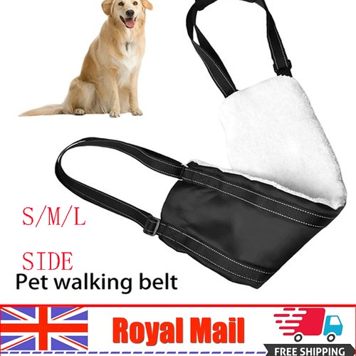 Dog mobility aids - aids, support