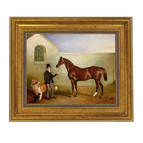 Ashton being held equestrian - ashton,
