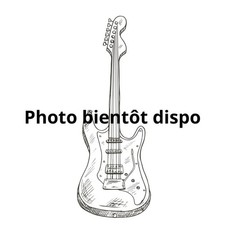 Telecaster Body Blue Burst