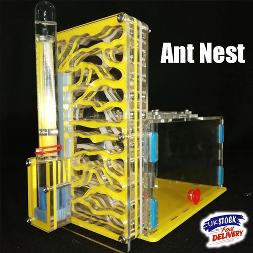 Acrylic ant nest formicarium - ant,