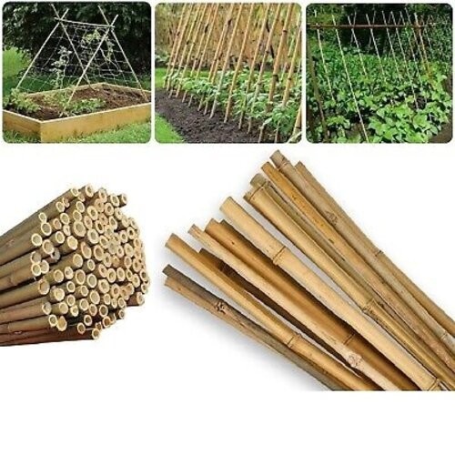 6 ft bamboo garden - 5,
