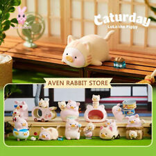 LuLu the Piggy Caturday Blind Box Mystery Figures Action Toys Birthday Gift#