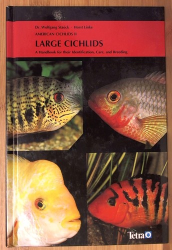 American cichlids large - ii:,