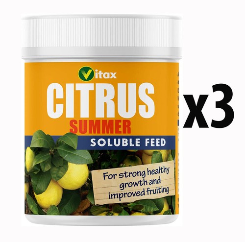 Vitax citrus summer fruit tree - citrus,