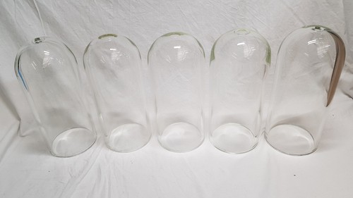 Job lot glass - lot, dome