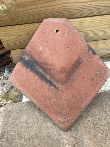Rosemary hip tile - rosemary,