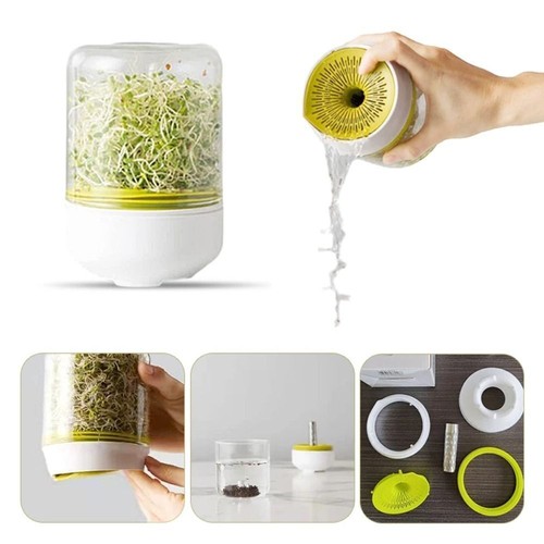 Seed sprouter bean sprouts - seed,