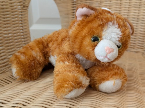 Aurora kitten ginger - aurora,