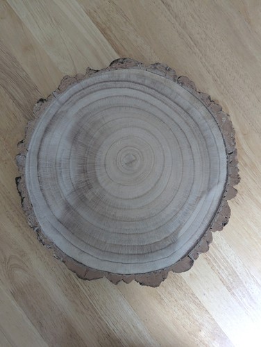 Rustic log slice cake - slice,