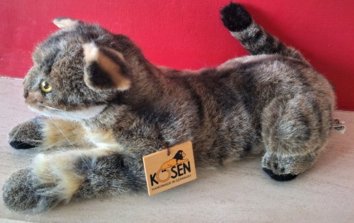 Kosen wildcat recumbent - wildcat,
