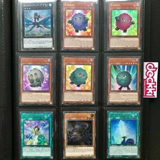 Brothers of Legend |