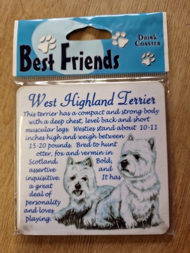 West highland terrier - highland,