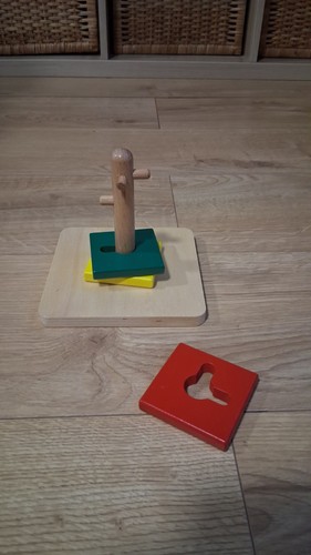 Absorbant minds montessori - minds,