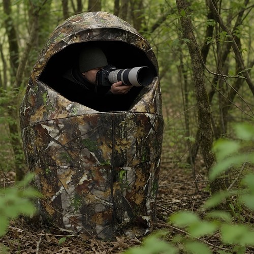 Pop hide one - up, person