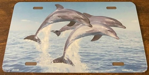 Dolphins novelty license - dolphins, plate