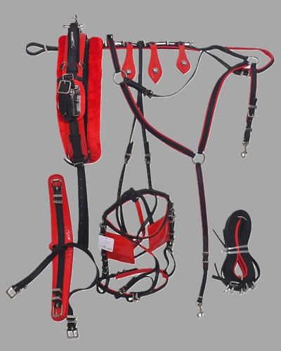 Quick hitch driving harness - hitch,