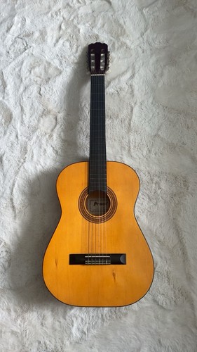 Prince c825 acoustic guitar - prince,