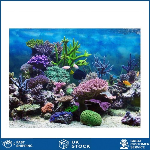 Vibrant coral reef aquarium - reef,