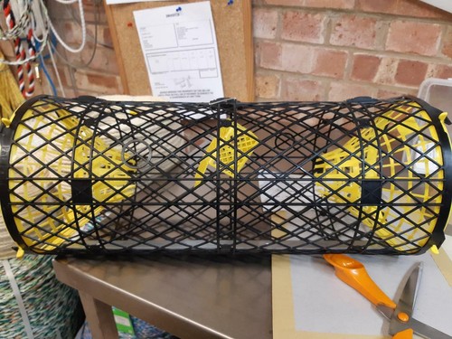 Cray trap fish - fish, eels
