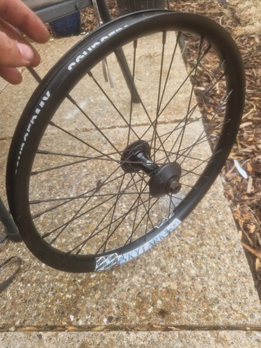 Alienation skylark rim salt - rim, x