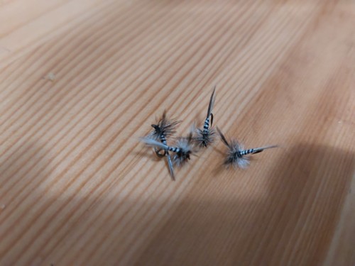 Mosquito dry flies size - dry, ×