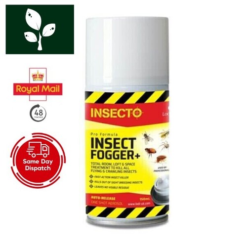 Insect fogger auto aerosol - auto,