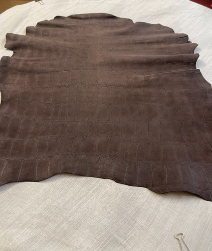 Chocolate brown crocodile - chocolate,