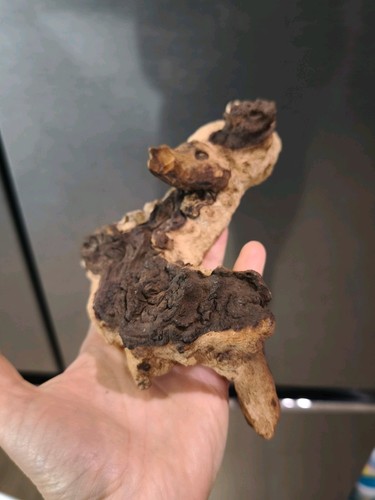 Aquarium natural driftwood - natural,