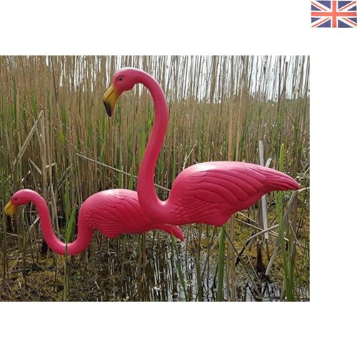Brighten your garden with 77cm - with,