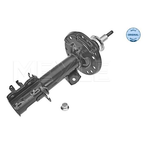 Shock absorber front left - shock,