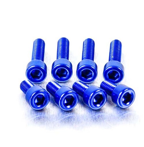 Petrol tank cap bolt - cap, screws