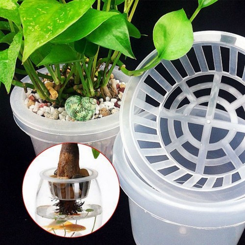 Long lasting plastic - lasting, mesh