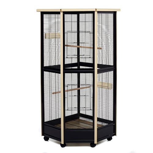 Bird rat tall all - bird,