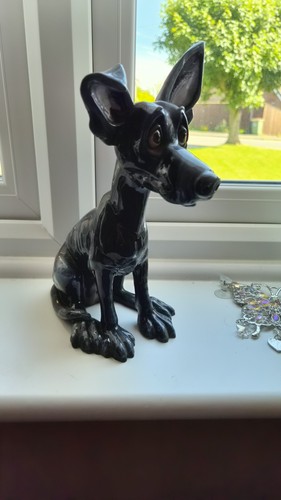 Pets with personality black - pets,